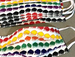 Rainbow Buffalo Reusable Masks